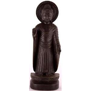  Standing Gandhara Buddha Wearing Roman Toga   Black Stone 