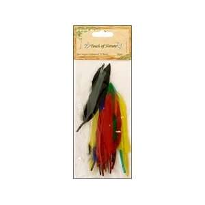  Midwest Design Feather Mini Indian 3Assorted 24pc Arts 