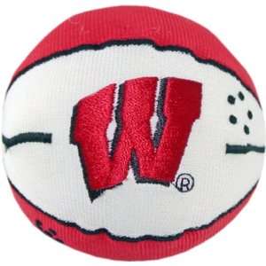 Wisconsin Badgers Basketball Smashers 
