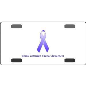  Small Intestine Cancer Awareness Ribbon Vanity License 
