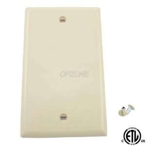  Topzone Blank Plastic Plate, Ivory Color