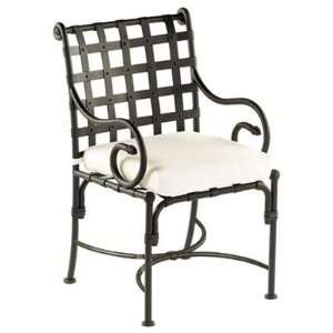  Kross Dining Arm Chair: Furniture & Decor