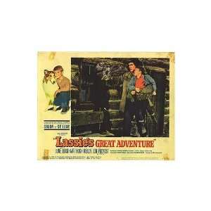  Lassies Great Adventure Original Movie Poster, 14 x 11 