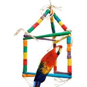  Fun Max Triangle Large Parrot