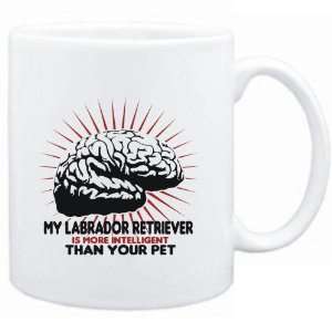   Labrador Retriever IS MORE INTELLIGENT THAN YOUR PET   Dogs Sports