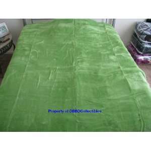  Korean Style Queen Blanket Solid Light Green: Home 