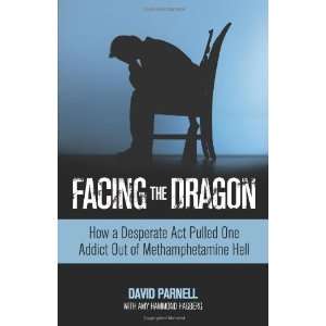   Addict Out of Methamphetamine Hell [Paperback] David Parnell Books