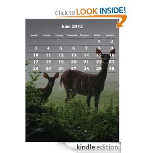Five Year Calendar for Kindle (2009 2010 2011 2012 2013 with photos 