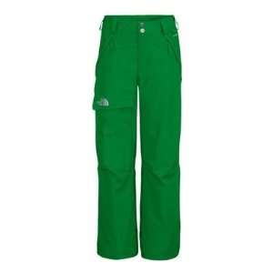   Face Freedom Insulated Pants Youth Boys 2012   Small Sports