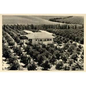  1937 House Zionist Settlement Palestine Photogravure 