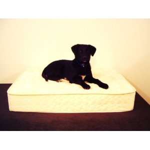 Luxury Innerspring Dog Bed 28 x 38 