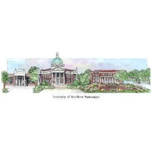 University of Southern Mississippi   Collegiate Series   11.5 x 24 