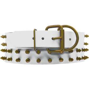   White Leather Dog Collar with Spikes, 24 Karat Gold: Pet Supplies