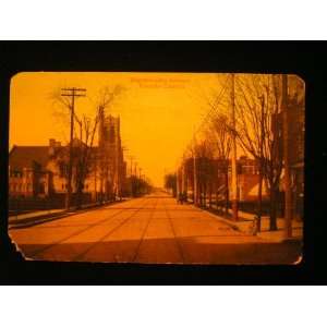  1910s Roncesvalles Avenue, Toronto Canada Postcard not 