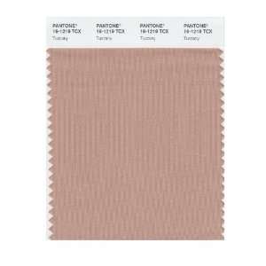   : PANTONE SMART 16 1219X Color Swatch Card, Tuscany: Home Improvement