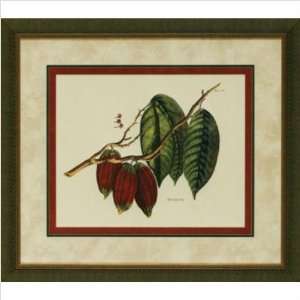 Phoenix Galleries OWP3099 Cacao Tree Framed Print:  Home 