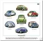 VOLKSWAGEN BEETLE PRINT   VW Beetle models 1949 66