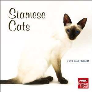  Siamese Cats 2010 Wall Calendar