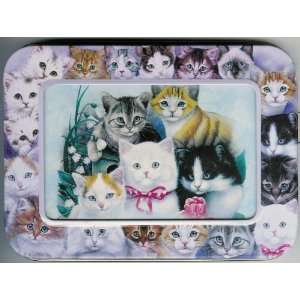  Cutest Kittens Note Cards