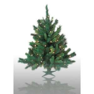   Christmas Tree Light Color: Multicolored Lights: Home & Kitchen