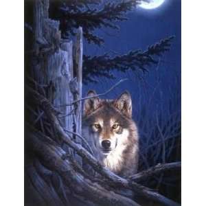  Lone Wolf Poster Print