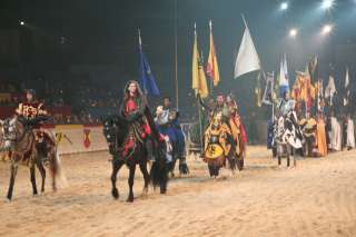 Medieval Times Dinner & Tournament coupons  