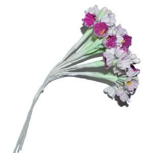  Venus Ribbon AZ0061 Spring Bloom Flower Assortment, Purple 
