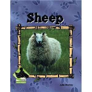 Sheep (Animal Kingdom Set II) [Library Binding]