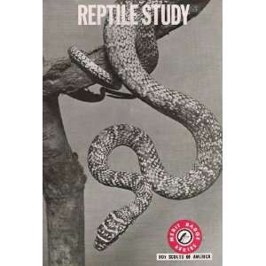   Reptile Study (Merit Badge Series, Reptile Study): Roger Conant: Books