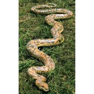   Snake Snakes Boa constrictor Statue Garden Design Toscano  