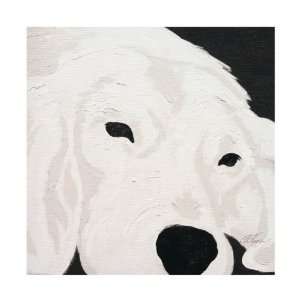  Labrador Retriever Dog Wall Art: Home & Kitchen
