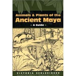  Animals and Plants of the Ancient Maya A Guide [Paperback 