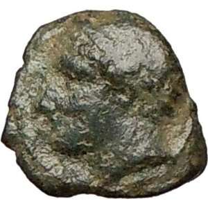   Sicily 336BC Apollo Horse Dolphin Rare Authentic Ancient Greek Coin