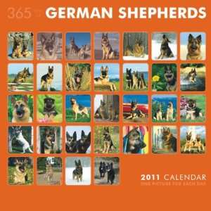   Shepherds 365 Days 2011 Wall Calendar 12 X 12 Office Products