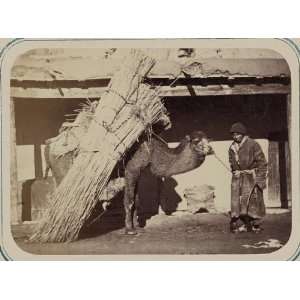  Central Asia,commerce,camel,reed production,c1865