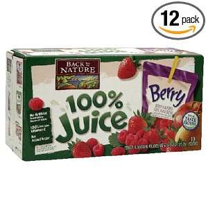 Back to Nature Berry Aseptic Juice  Grocery & Gourmet Food