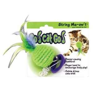  Ourpets Company CT 10294 Multi Colored Go Cat Go String Me 