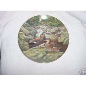    The Gadwall by Bart Jerner Collector Plate 