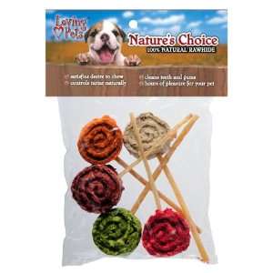   : Loving Pets Natures Choice 5 Pack Rawhide Lollipops: Pet Supplies
