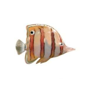   Bovano Enamel Wall Art Gold Long Nosed Butterflyfish!: Everything Else