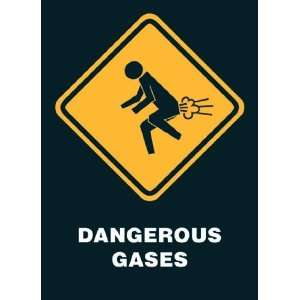  Dangerous Gases by Unknown 24x34
