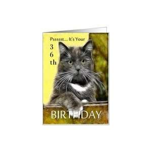    Birthday ~ Age Specific 36th ~ Cat in a box Card Toys & Games