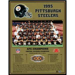  Pittsburgh Steelers    AFC Champs 1995 Pittsburgh Steelers 