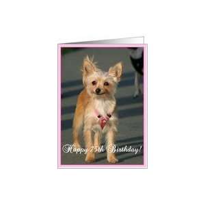  Happy 75th Birthday Chihuahua Dog Card: Toys & Games