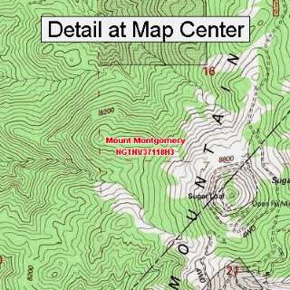  USGS Topographic Quadrangle Map   Mount Montgomery, Nevada 