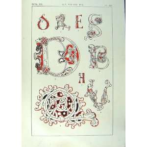 1860 Art Illuminating Alphabet Letters Calligraphy 