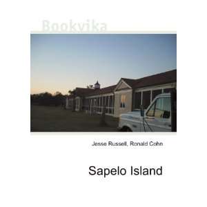  Sapelo Island Ronald Cohn Jesse Russell Books