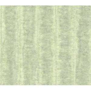 Gray and Green Ombre Stripe Wallpaper RV6894  Kitchen 