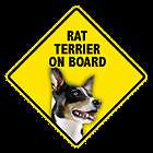 Rat Terrier  