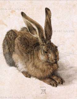 ALBRECHT DÜRER Junger Feld Hase 30x40cm BILD + RAHMEN  